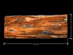Petrified Wood Rainbow table 1. Gem-Grade Rainbow table. The Largest Slabs of Gem-Grade Rainbow Petrified Wood Ever Offered for Sale.
